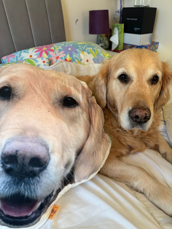 Custom Pet Pillow